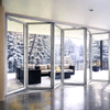 Aluminum Bifold Door