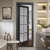 Aluminium Bathroom Doors